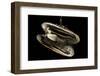 Deepsea Mussel (Bathymodiolus Indica) With Open Shell And Commensal Scale Worm Inside-David Shale-Framed Photographic Print