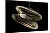 Deepsea Mussel (Bathymodiolus Indica) With Open Shell And Commensal Scale Worm Inside-David Shale-Mounted Photographic Print