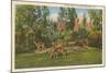Deer, Adirondack Mountains, New York-null-Mounted Art Print