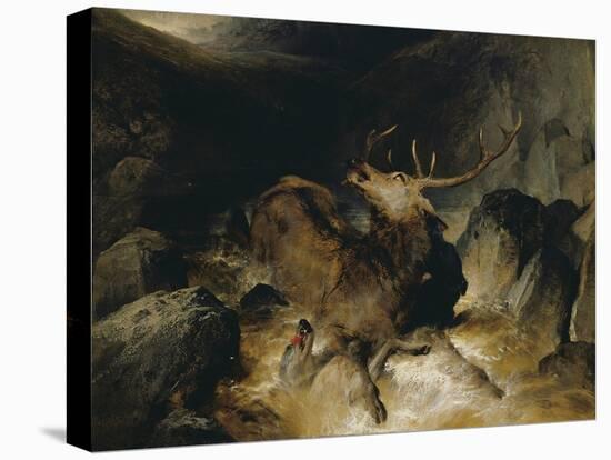 Deer and Deer Hounds in a Mountain Torrent ('The Hunted Stag')-Edwin Henry Landseer-Stretched Canvas