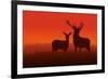 Deer and Doe-Rudall30-Framed Premium Giclee Print