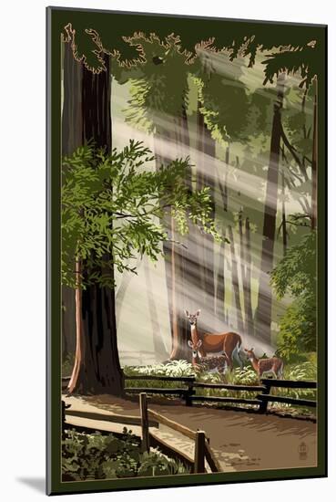 Deer and Fawns in Forest-Lantern Press-Mounted Art Print