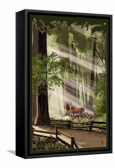 Deer and Fawns in Forest-Lantern Press-Framed Stretched Canvas