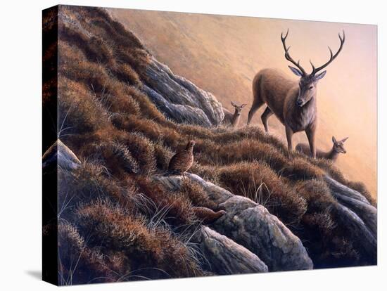 Deer and Grouse-Jeremy Paul-Stretched Canvas