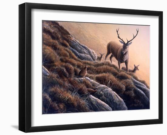 Deer and Grouse-Jeremy Paul-Framed Giclee Print