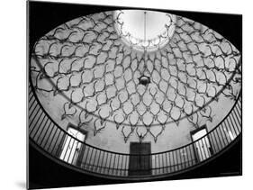 Deer Antlers Hanging in Domed Ceiling of Gordon Castle-William Sumits-Mounted Photographic Print