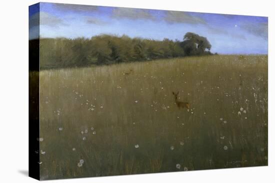 Deer at Dusk in a Meadow with Flowers-Harald Slott-Möller-Stretched Canvas