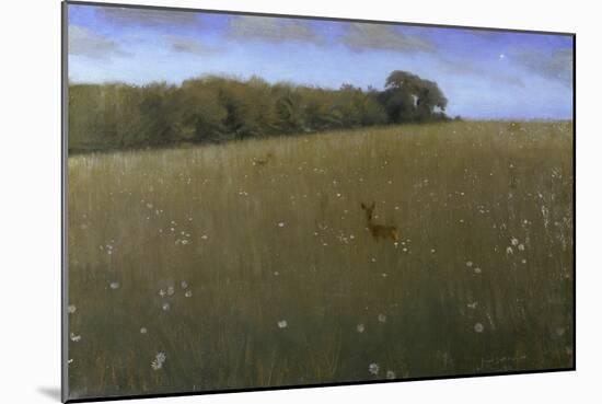 Deer at Dusk in a Meadow with Flowers-Harald Slott-Möller-Mounted Giclee Print