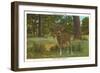 Deer at Yosemite-null-Framed Art Print