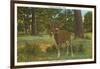 Deer at Yosemite-null-Framed Art Print