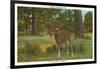 Deer at Yosemite-null-Framed Art Print