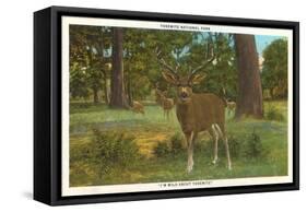 Deer at Yosemite-null-Framed Stretched Canvas