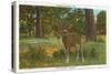 Deer at Yosemite-null-Stretched Canvas