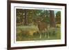 Deer at Yosemite-null-Framed Art Print