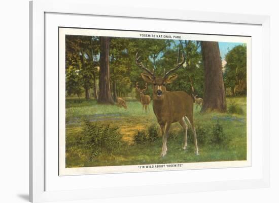 Deer at Yosemite-null-Framed Premium Giclee Print