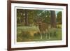 Deer at Yosemite-null-Framed Premium Giclee Print