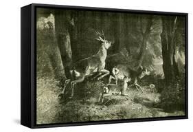 Deer Austria 1891-null-Framed Stretched Canvas