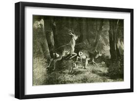 Deer Austria 1891-null-Framed Giclee Print