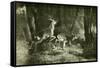 Deer Austria 1891-null-Framed Stretched Canvas