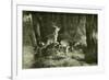 Deer Austria 1891-null-Framed Giclee Print