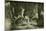 Deer Austria 1891-null-Mounted Giclee Print