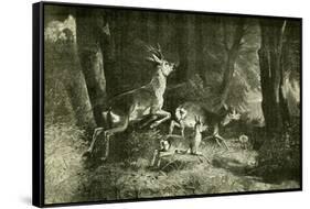 Deer Austria 1891-null-Framed Stretched Canvas