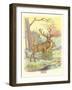 Deer, Buck and Doe-null-Framed Art Print