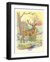 Deer, Buck and Doe-null-Framed Art Print