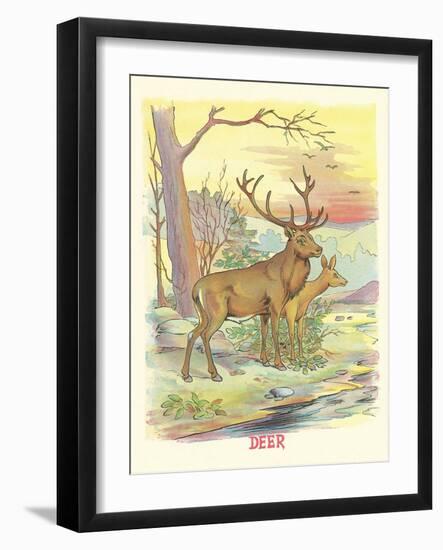 Deer, Buck and Doe-null-Framed Art Print