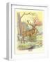 Deer, Buck and Doe-null-Framed Art Print