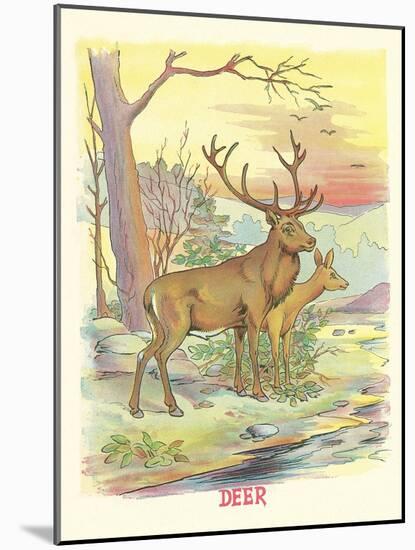 Deer, Buck and Doe-null-Mounted Art Print