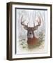 Deer Buck Portrait-Ron Jenkins-Framed Art Print