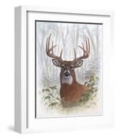 Deer Buck Portrait-Ron Jenkins-Framed Art Print