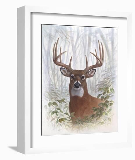 Deer Buck Portrait-Ron Jenkins-Framed Art Print