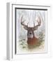 Deer Buck Portrait-Ron Jenkins-Framed Art Print