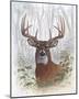 Deer Buck Portrait-Ron Jenkins-Mounted Art Print