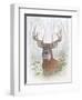 Deer Buck Portrait-Ron Jenkins-Framed Art Print