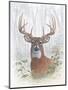 Deer Buck Portrait-Ron Jenkins-Mounted Art Print