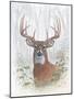 Deer Buck Portrait-Ron Jenkins-Mounted Art Print