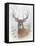 Deer Buck Portrait-Ron Jenkins-Framed Stretched Canvas