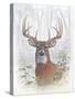 Deer Buck Portrait-Ron Jenkins-Stretched Canvas