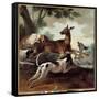 Deer Chased by Dogs. Hunting Scene, 1725 (Oil on Canvas)-Jean-Baptiste Oudry-Framed Stretched Canvas