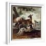 Deer Chased by Dogs. Hunting Scene, 1725 (Oil on Canvas)-Jean-Baptiste Oudry-Framed Giclee Print
