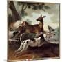 Deer Chased by Dogs. Hunting Scene, 1725 (Oil on Canvas)-Jean-Baptiste Oudry-Mounted Giclee Print