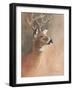 Deer Close-Up-Rusty Frentner-Framed Giclee Print