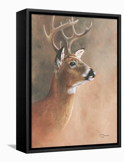 Deer Close-Up-Rusty Frentner-Framed Stretched Canvas