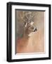 Deer Close-Up-Rusty Frentner-Framed Giclee Print