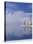 Deer Creek Reservoir and Rimed Trees, Mt. Timpanogas, Wasatch Mountains, Utah, USA-Howie Garber-Stretched Canvas