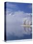 Deer Creek Reservoir and Rimed Trees, Mt. Timpanogas, Wasatch Mountains, Utah, USA-Howie Garber-Stretched Canvas