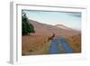 Deer Crossing Road on Jura-Jaime Pharr-Framed Photographic Print